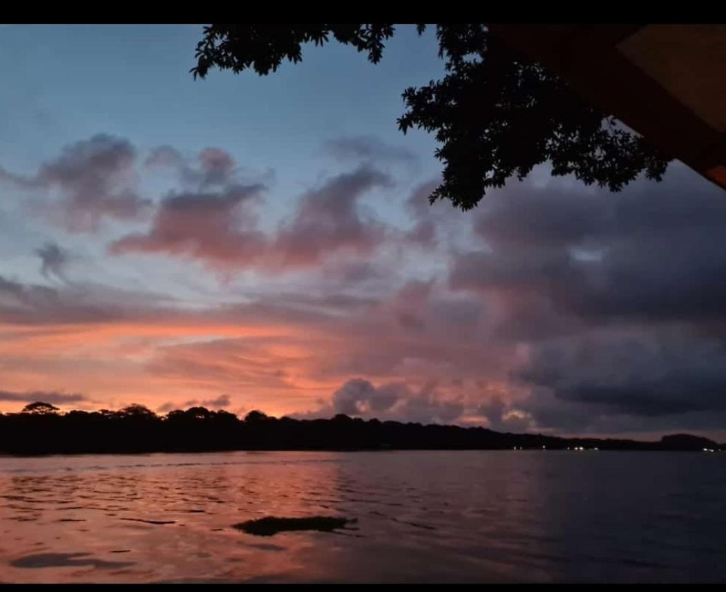 Villa Casa Marbella Tortuguero Exterior foto