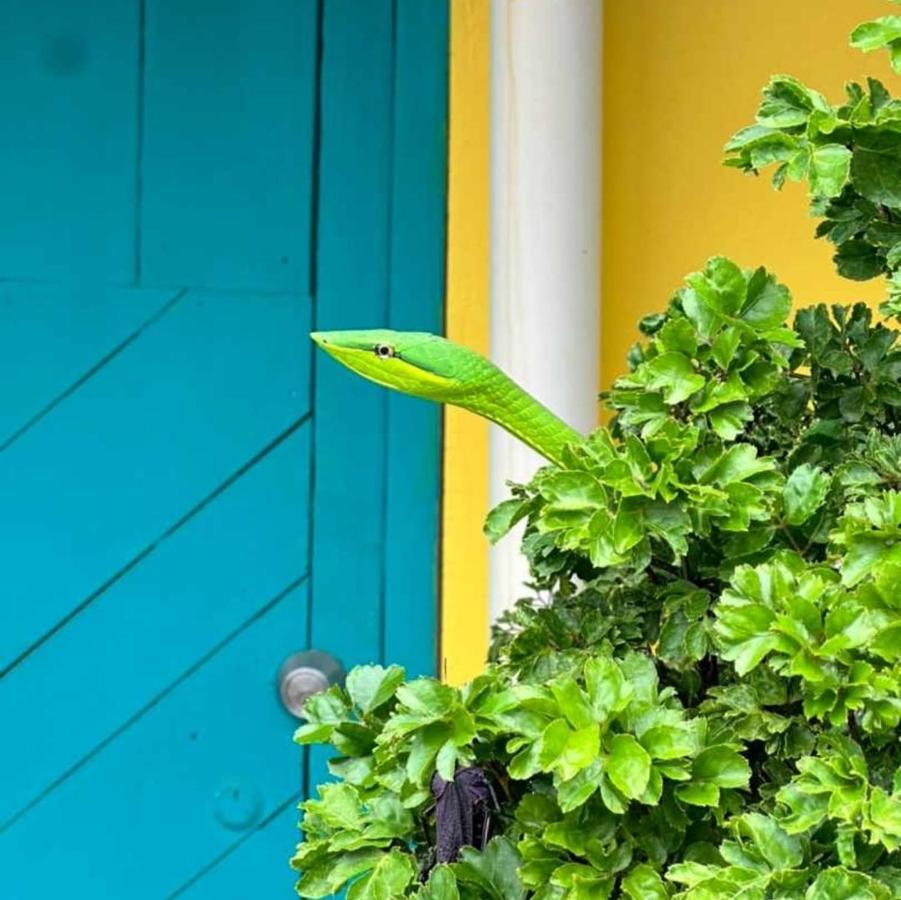 Villa Casa Marbella Tortuguero Exterior foto